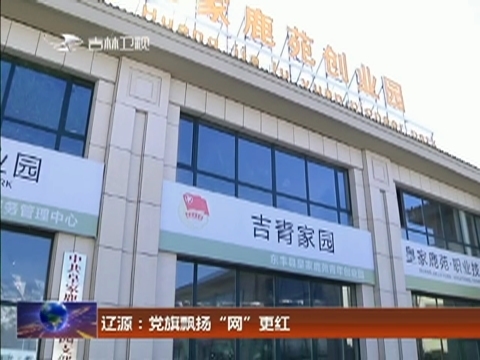 辽源：党旗飘扬“网”更红