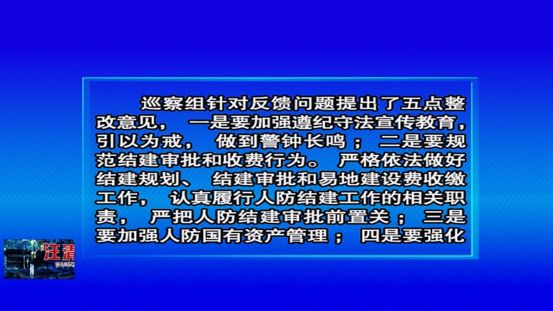 06月17日 县人防系统专项巡察组向县人防办反馈巡察情况