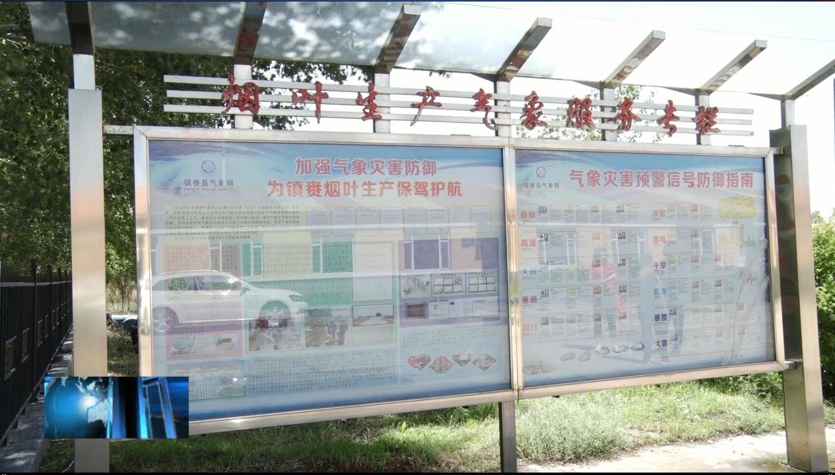 气象服务助力烟农田间管理