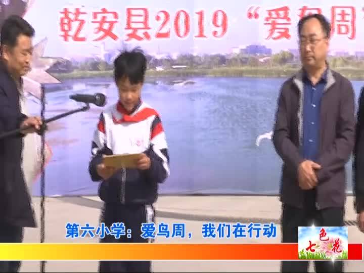2019年5月5日5月9日七色花