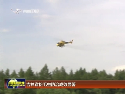 吉林省松毛虫防治成效显著