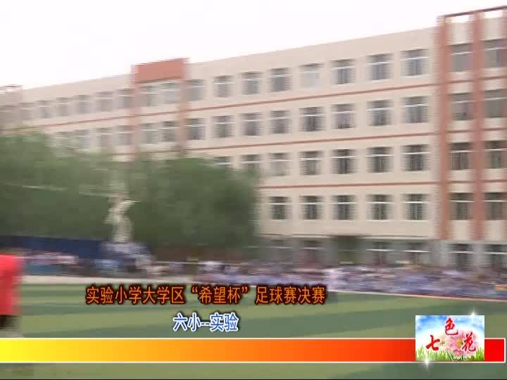 2019年5月25日28日七色花