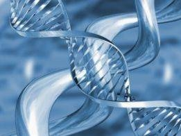 “垃圾DNA”突变可能引起自闭症