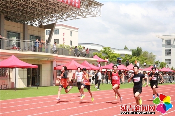 【组图】2019年延吉市中小学田径运动会圆满结束