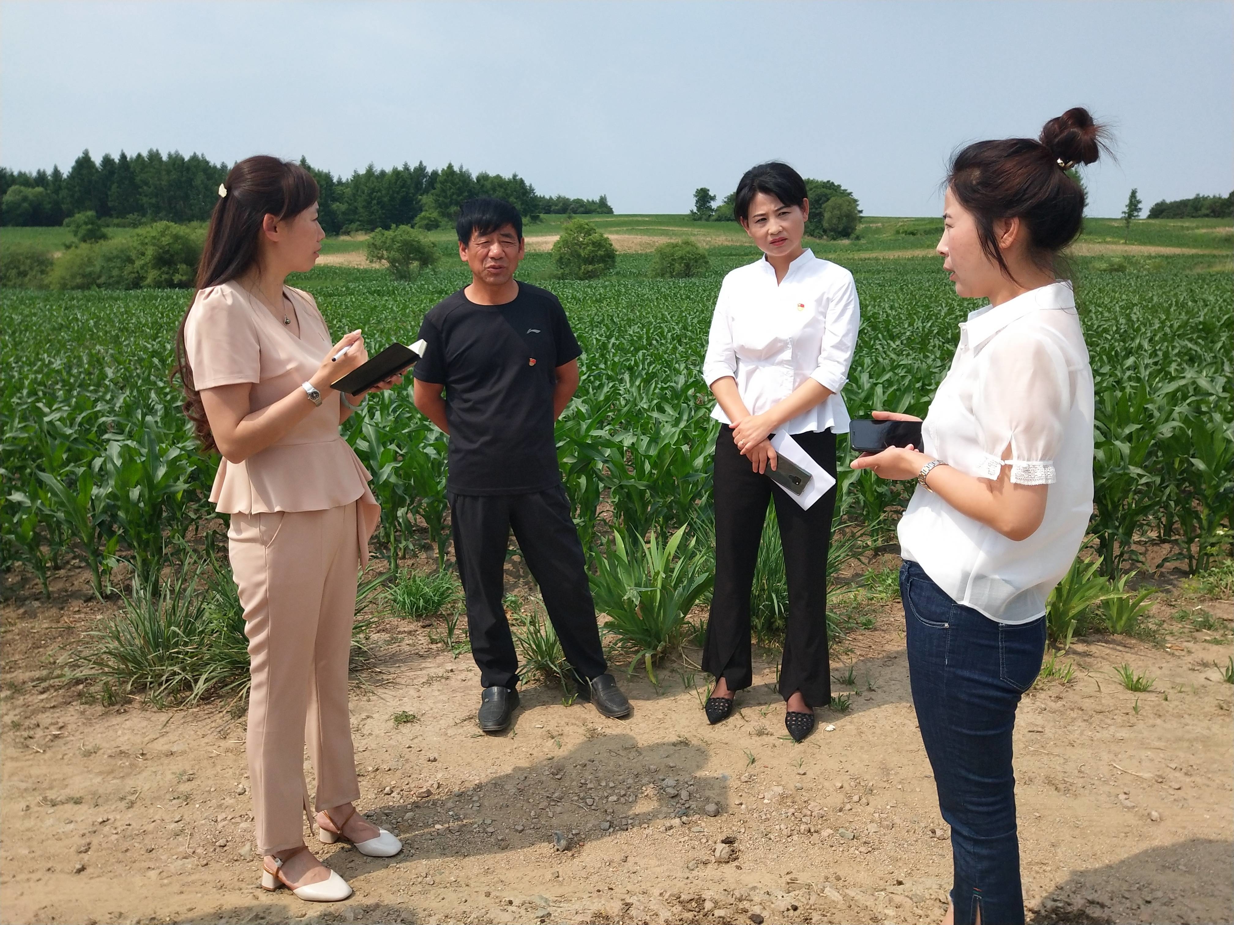 【美丽家园】东丰县三合乡“美丽家园”创建评选让老百姓自己说了算