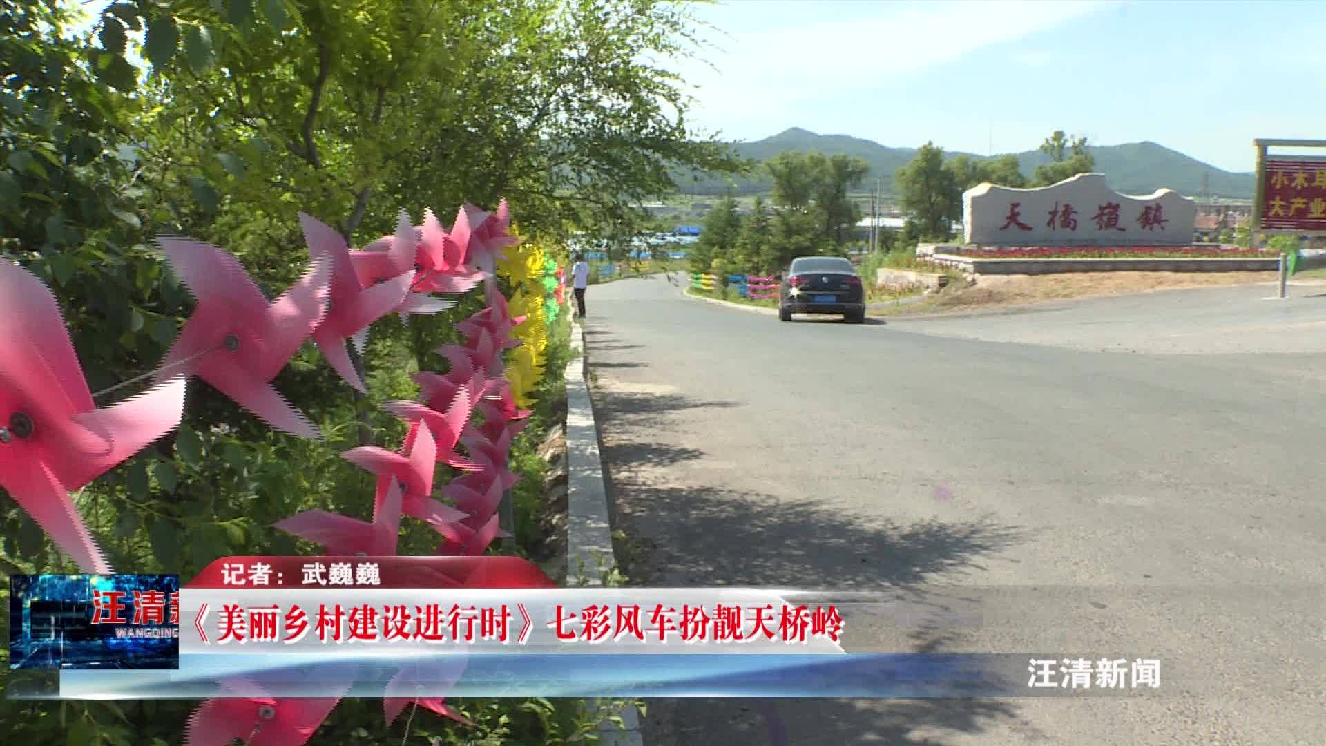 06月27日《美丽乡村建设进行时》七彩风车扮靓天桥岭