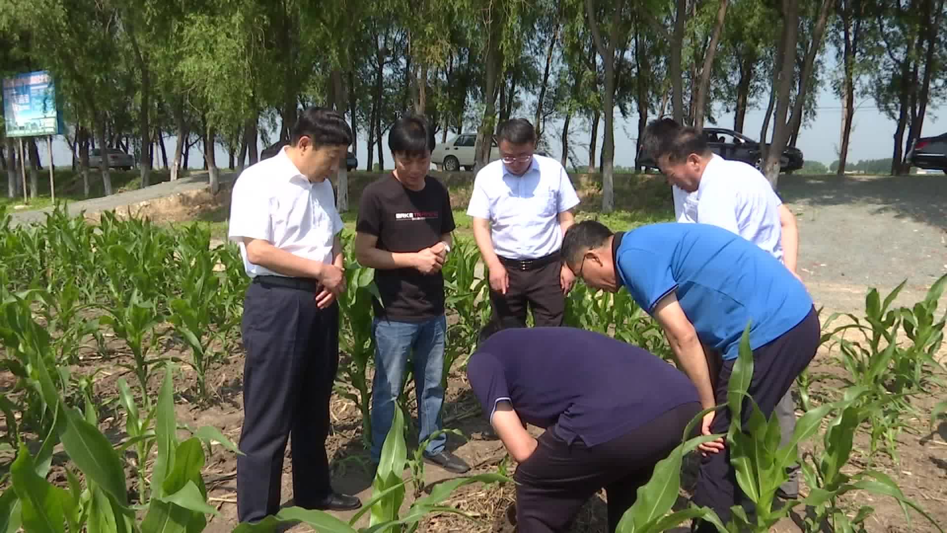 长春市政府领导到农安县调研农业农村工作