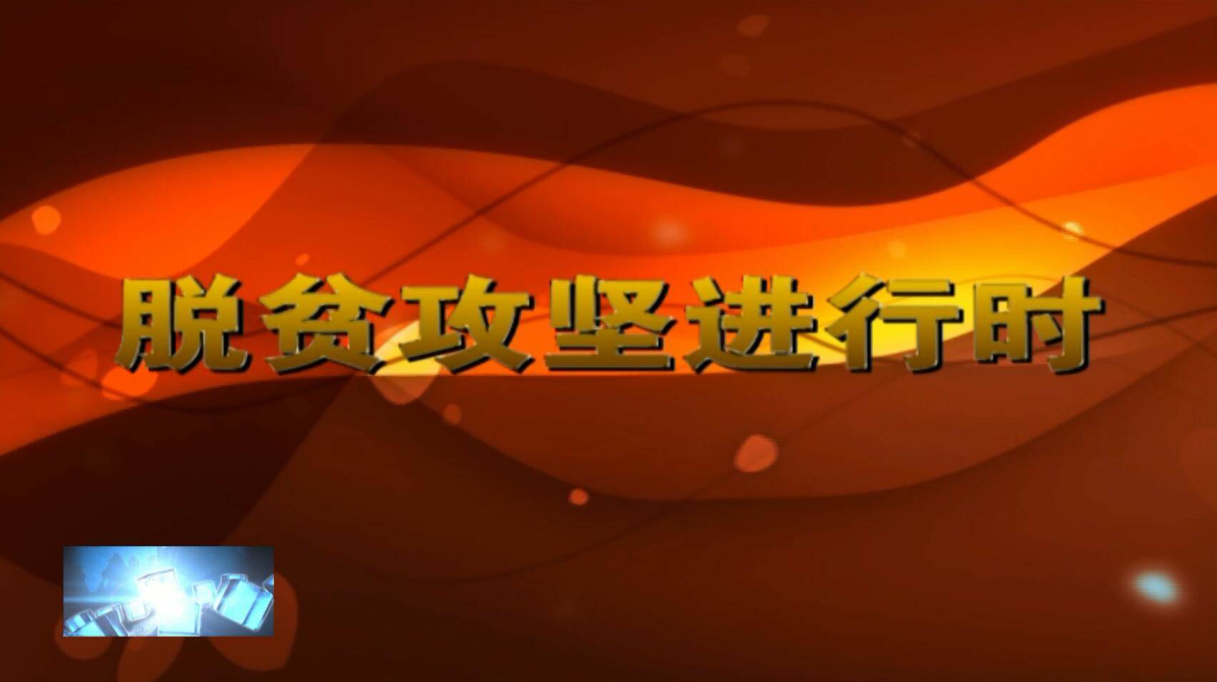 脱贫攻坚进行时：农业发展银行镇赉县支行打好“组合拳”全力服务脱贫攻坚