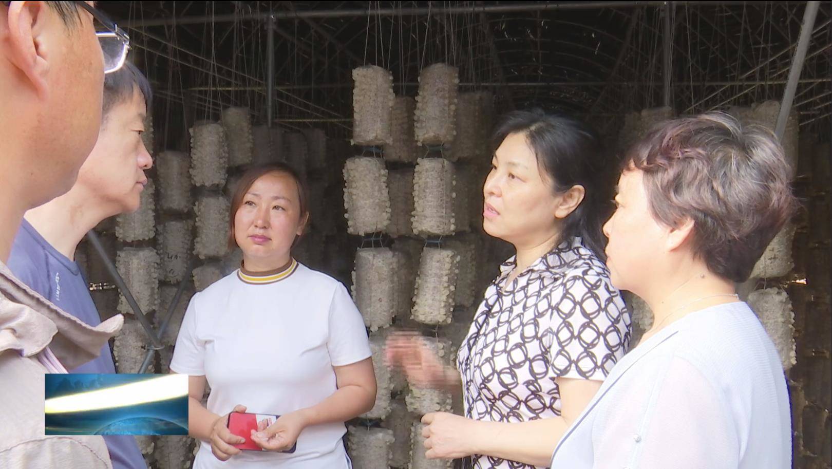 吉林省市场监督管理厅调研组调研我县农业标准化扶贫示范园（点）建设情况