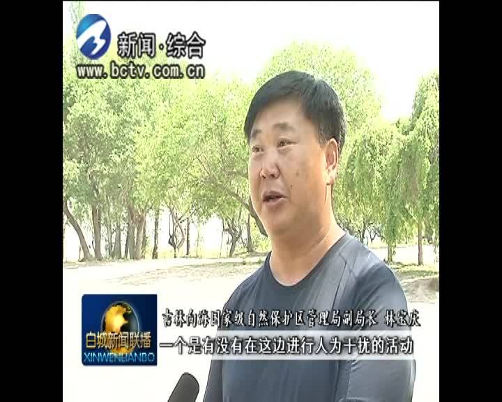 保护环境 立行立改 通榆向海：压实责任真亮剑   落实整改成效显