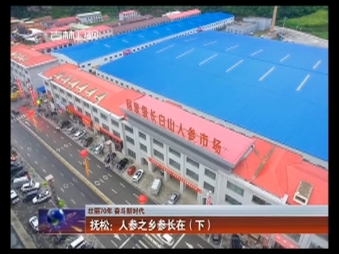 【壮丽70年 奋斗新时代】抚松：人参之乡参长在（下）