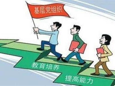 增强基层党组织的领导力组织力执行力