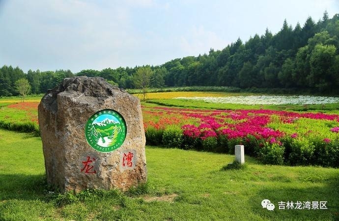 这个夏天，不和花海来次亲密接触怎么行？