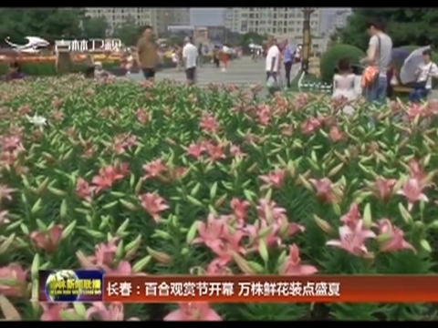 长春：百合观赏节开幕 万株鲜花装点盛夏