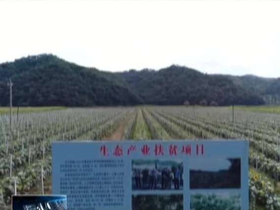 通化县激活农业内生动力