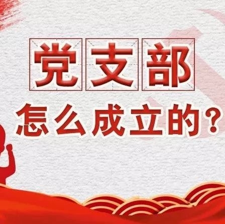 【学习进行时】 如何成立党支部？