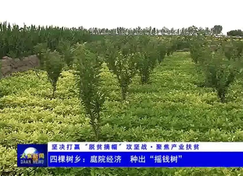 【坚决打赢“脱贫摘帽”攻坚战·聚焦产业扶贫】四棵树乡良种场村：农家小院长出“摇钱树”