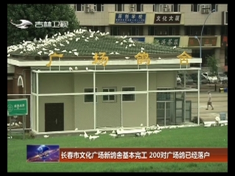 长春市文化广场新鸽舍基本完工 200对广场鸽已经落户