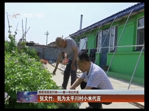 【脱贫攻坚在行动——第一书记代言】张文竹：我为太平川村小米代言