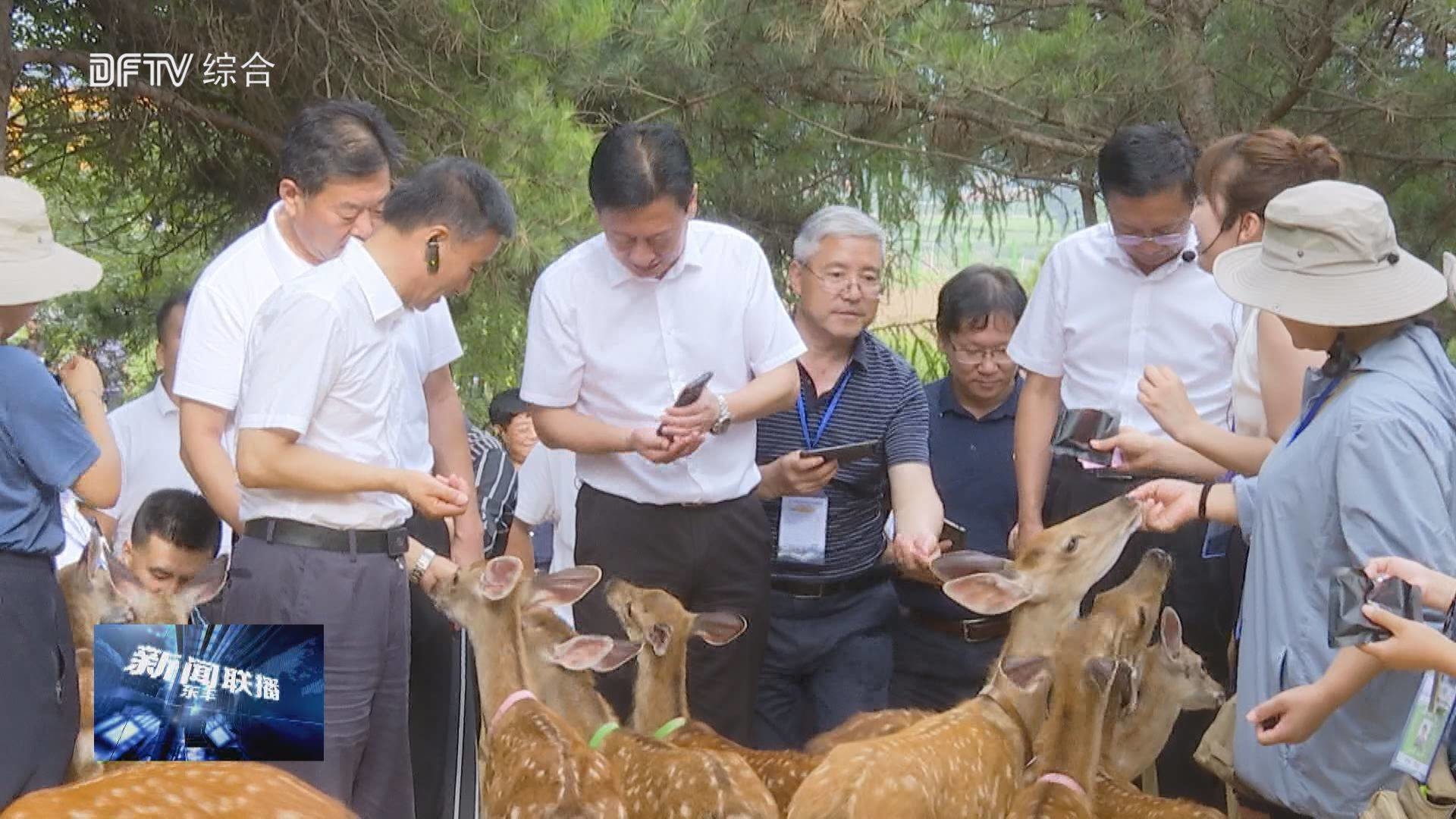 我县举办“印象·东丰·梅花鹿”参观活动