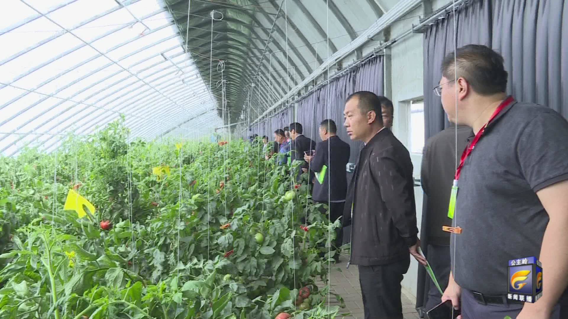 公主岭市深入推进农业种植结构调整