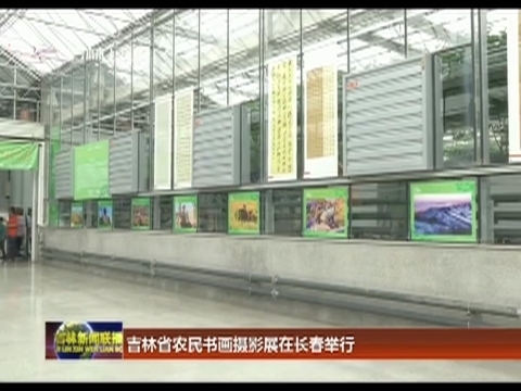 吉林省农民书画摄影展在长春举行