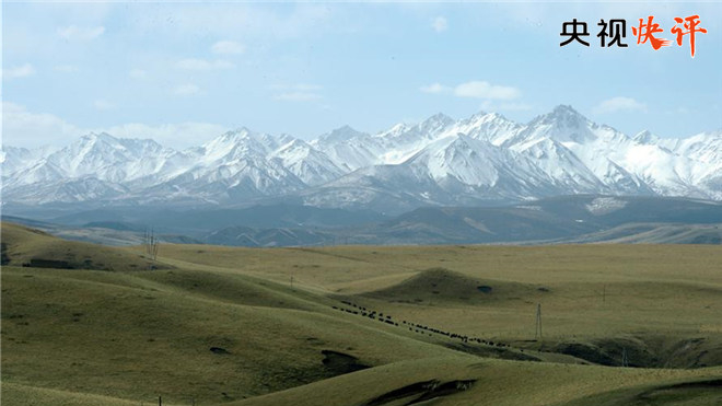 央视快评：守护绿水青山 永葆幸福之源