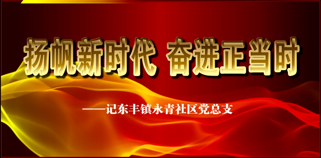 扬帆新时代 奋进正当时——记东丰镇永青社区党总支