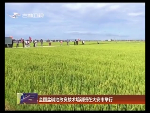 全国盐碱地改良技术培训班在大安市举行