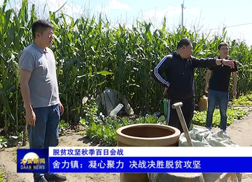 【脱贫攻坚秋季百日会战（十五）】 舍力镇：凝心聚力 决战决胜脱贫攻坚