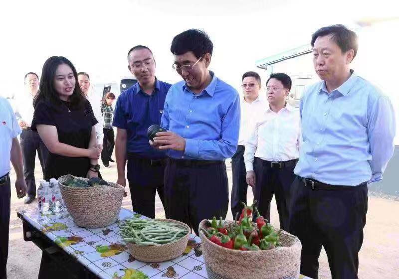 巴音朝鲁在白城市调研时强调 以不获全胜决不收兵的决心和勇气 坚决如期高质量打赢脱贫攻坚战