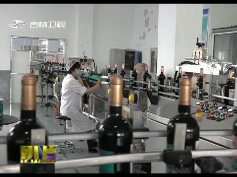 通化葡萄酒新万吨生产线项目投入生产