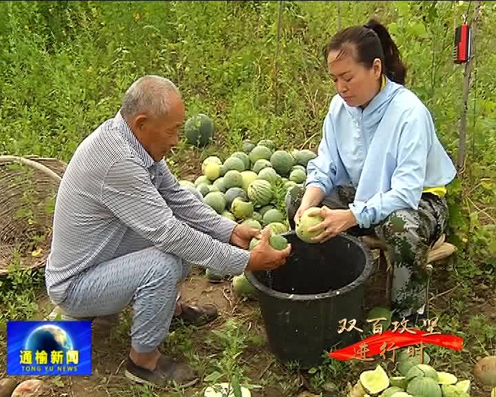 《通榆新闻》20190828