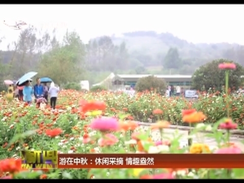 游在中秋：休闲采摘 情趣盎然