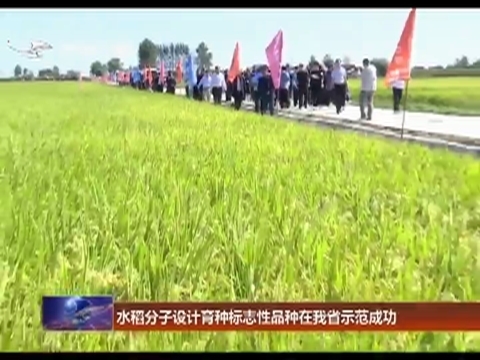 水稻分子设计育种标志性品种在我省示范成功