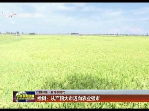 【壮丽70年·奋斗新时代】榆树：从产粮大市迈向农业强市