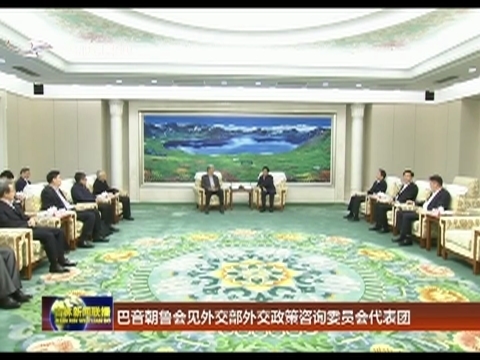 巴音朝鲁会见外交部外交政策咨询委员会代表团