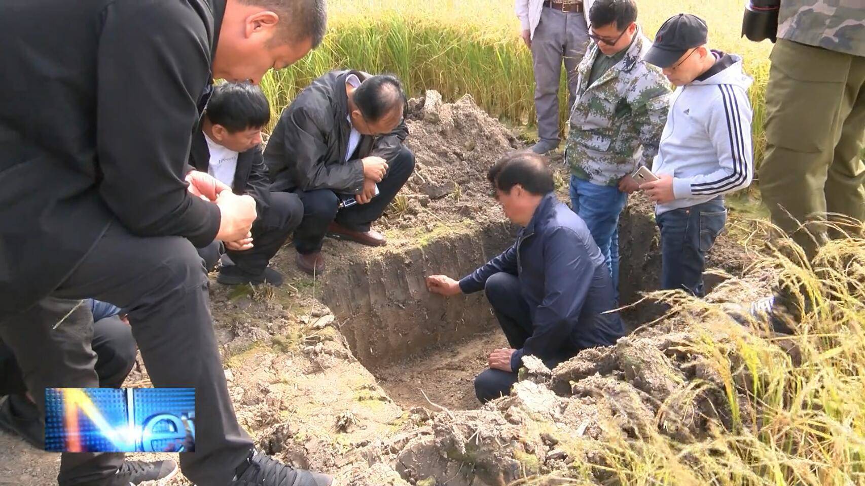 农业农村部耕地质量监测保护调研组来镇赉县调研盐碱地改良情况