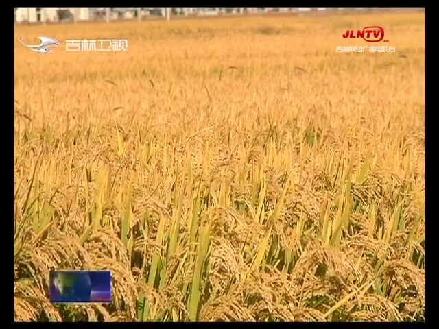 【奋进正当时】秋风又起秋分至 丰年再迎丰收节