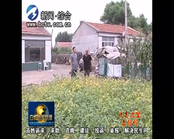 贫困群众贴心人 扶贫路上“领头燕”