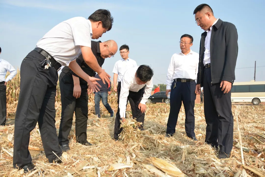 县委书记吴波深入乡镇调研区域性粪污处理中心项目建设进展情况