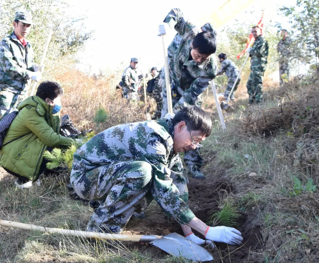 植树7万多株，公主岭市国有林总场这次活动收获满满！