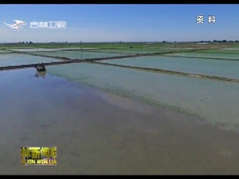 水稻成熟季 农民收割忙