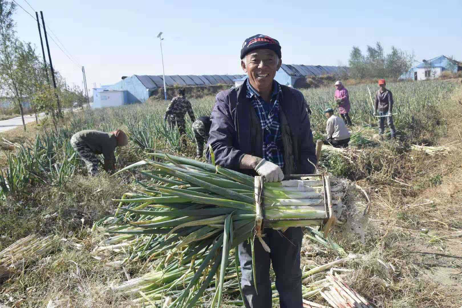 公主岭：促农增收 种植业结构调整再发力