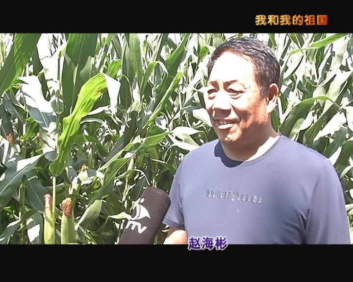 12希望的田野
