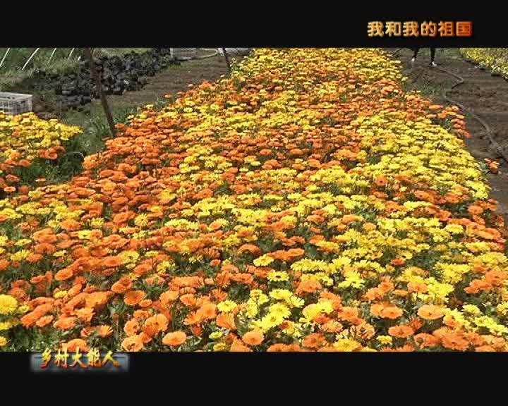 15乡村大能人