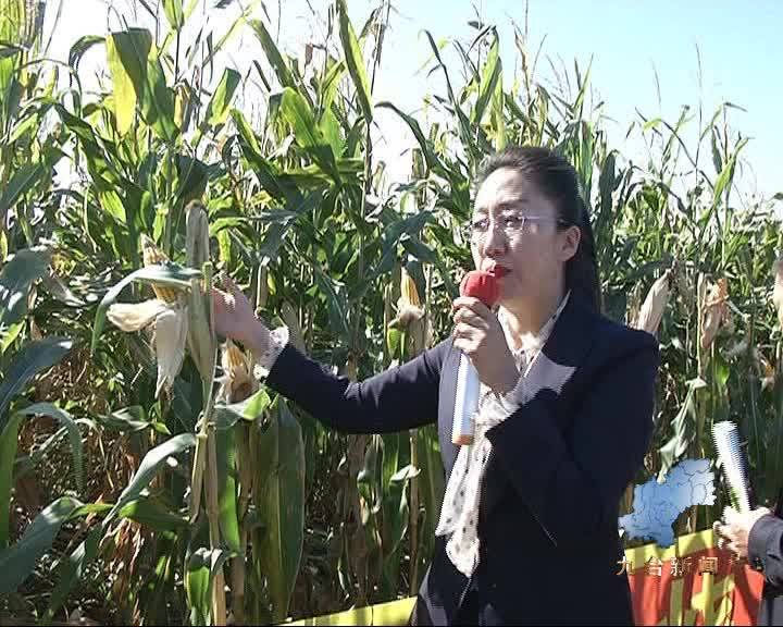 我区召开2019年秋季秸秆还田  保护性耕作现场会