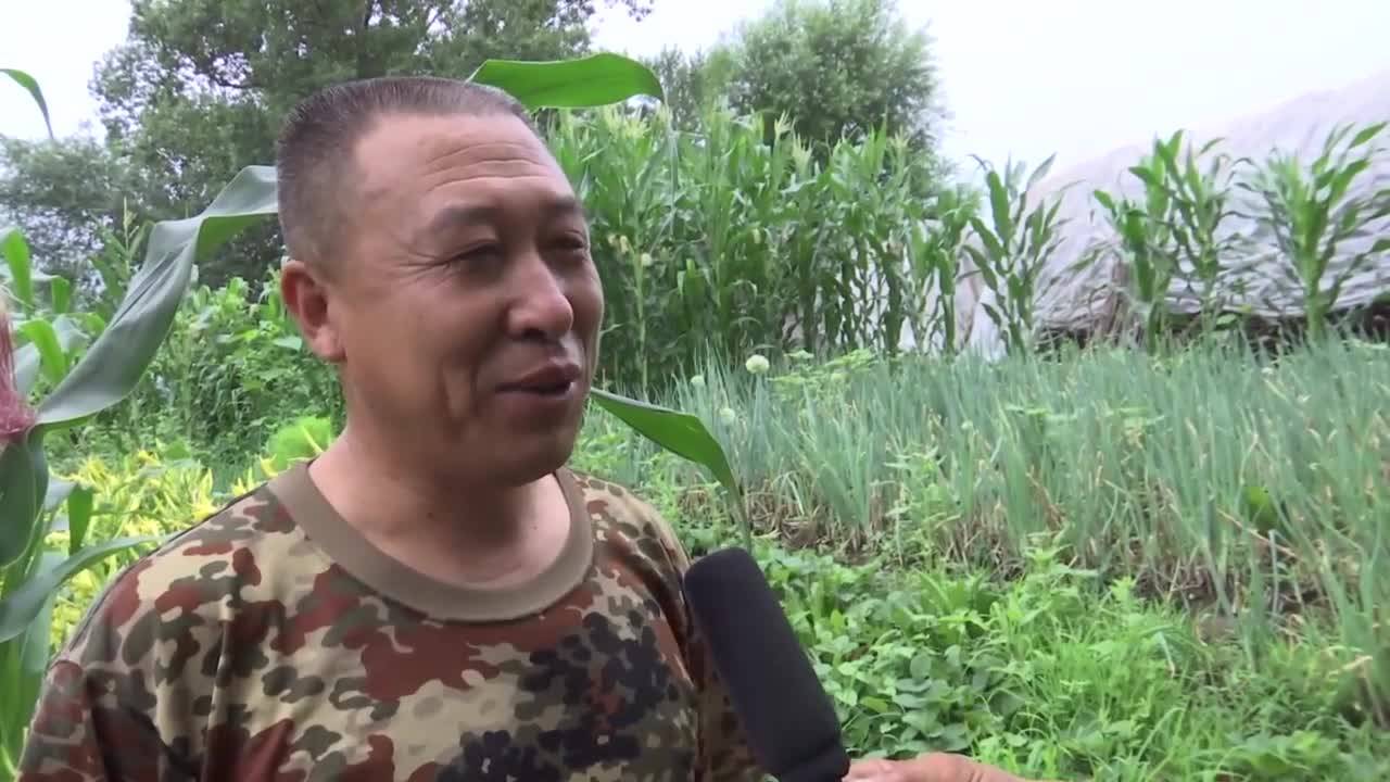 【壮丽七十年 奋斗新时代】农民作家：新时代的讴歌者