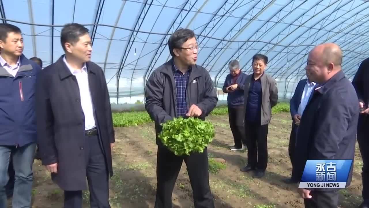 市政协主席王德胜来我县调研