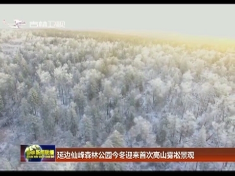 延边仙峰森林公园今冬迎来首次高山雾凇景观